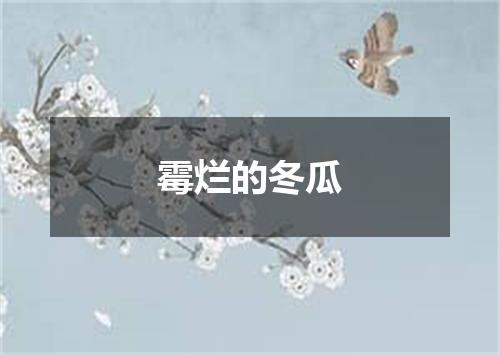 霉烂的冬瓜