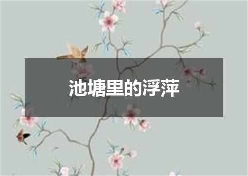 池塘里的浮萍