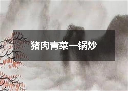 猪肉青菜一锅炒
