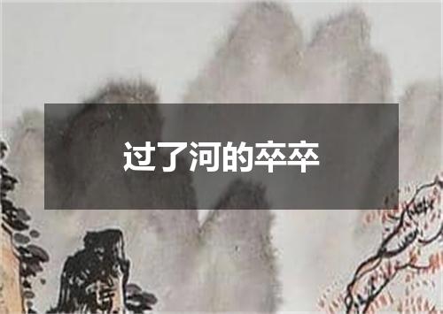 过了河的卒卒