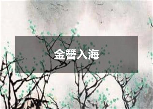 金簪入海