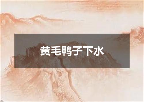 黄毛鸭子下水