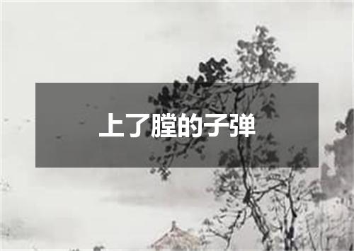 上了膛的子弹