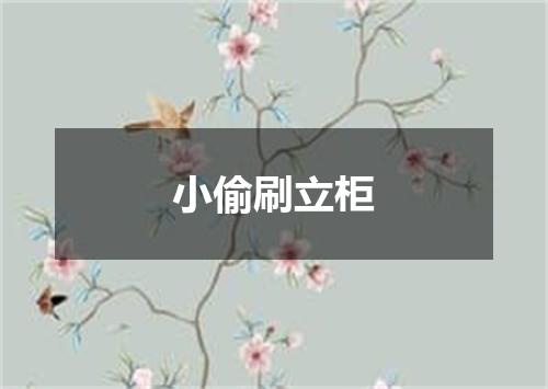 小偷刷立柜