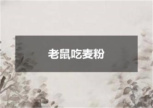 老鼠吃麦粉