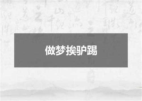 做梦挨驴踢