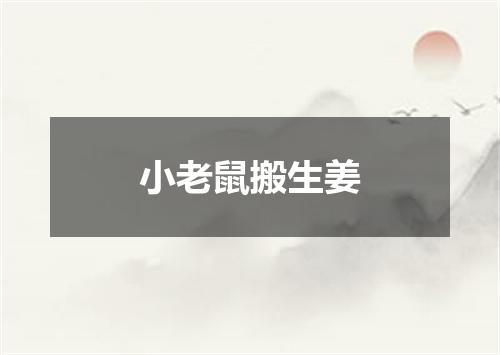 小老鼠搬生姜