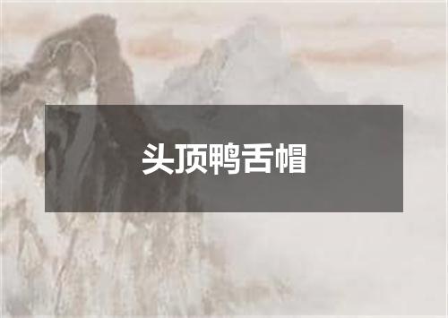 头顶鸭舌帽
