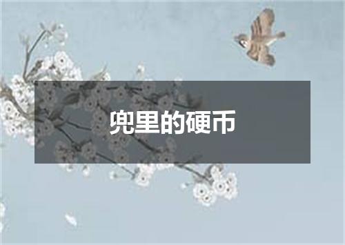兜里的硬币
