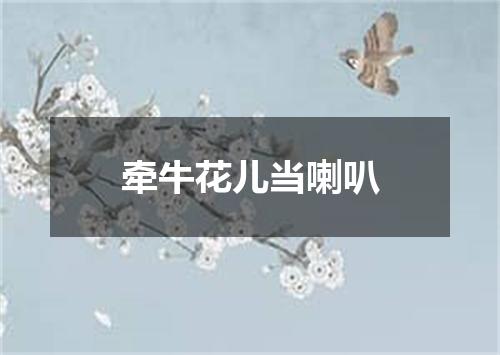 牵牛花儿当喇叭