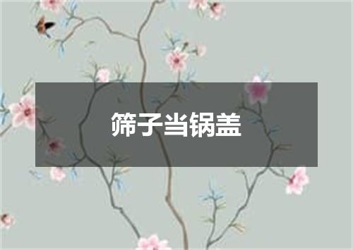 筛子当锅盖