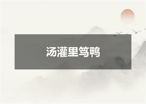 汤灌里笃鸭
