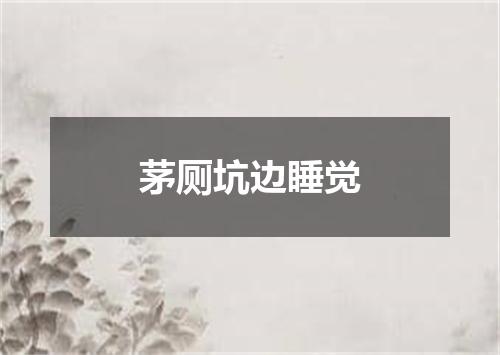 茅厕坑边睡觉