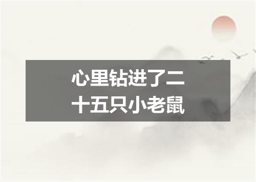 心里钻进了二十五只小老鼠