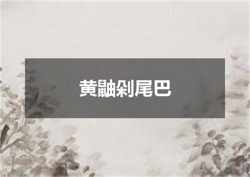 黄鼬剁尾巴