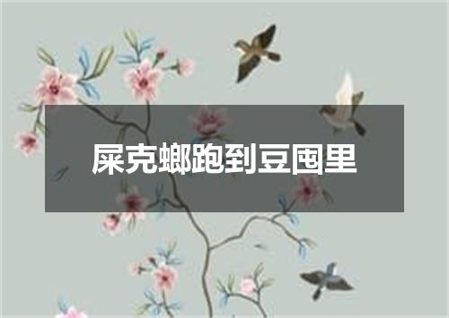 屎克螂跑到豆囤里