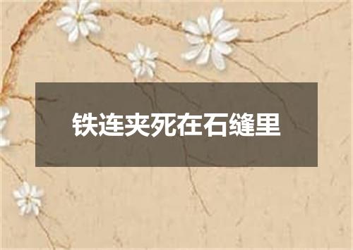 铁连夹死在石缝里