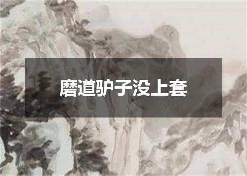 磨道驴子没上套