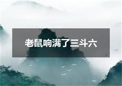 老鼠响满了三斗六