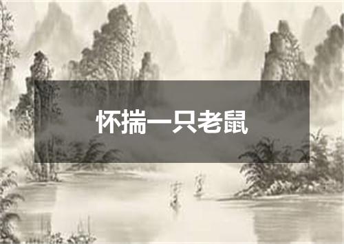怀揣一只老鼠