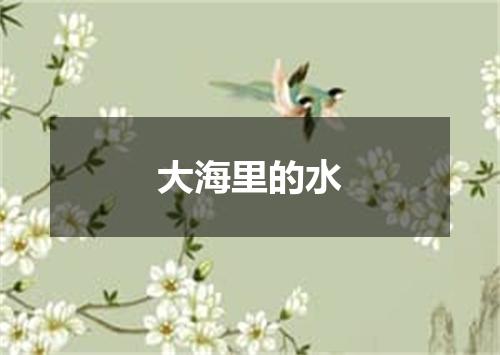 大海里的水