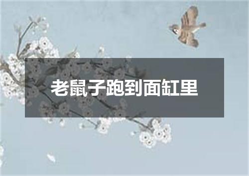 老鼠子跑到面缸里