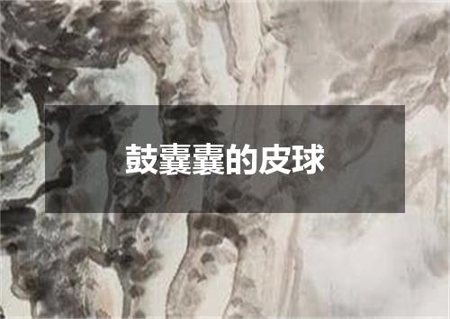 鼓囊囊的皮球