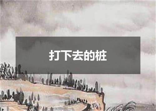 打下去的桩