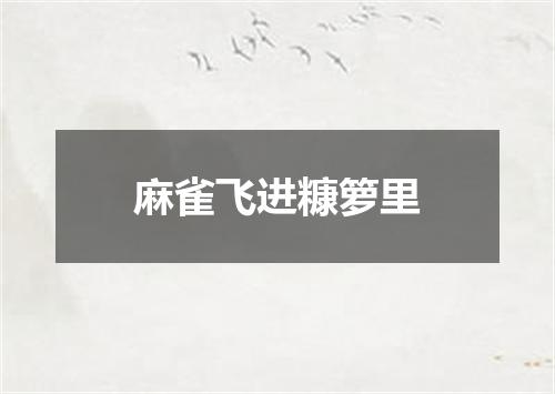 麻雀飞进糠箩里