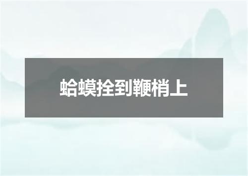 蛤蟆拴到鞭梢上