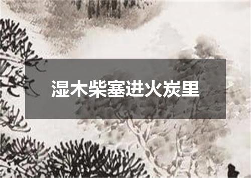 湿木柴塞进火炭里