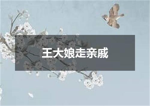 王大娘走亲戚