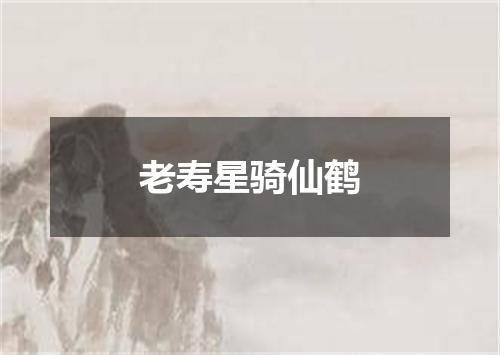 老寿星骑仙鹤