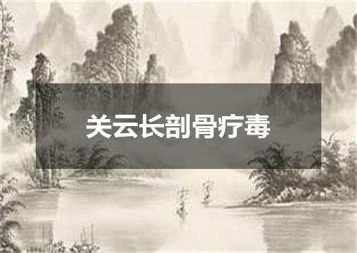 关云长剖骨疗毒