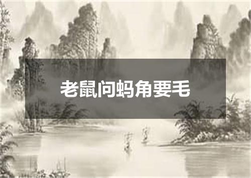 老鼠问蚂角要毛