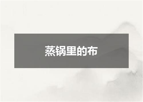蒸锅里的布