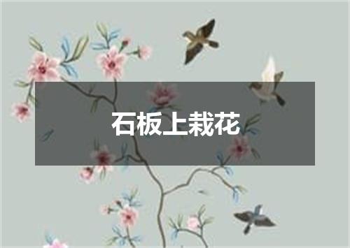 石板上栽花