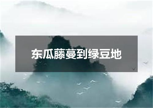 东瓜藤蔓到绿豆地