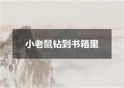 小老鼠钻到书箱里