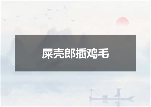 屎壳郎插鸡毛