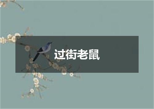 过街老鼠