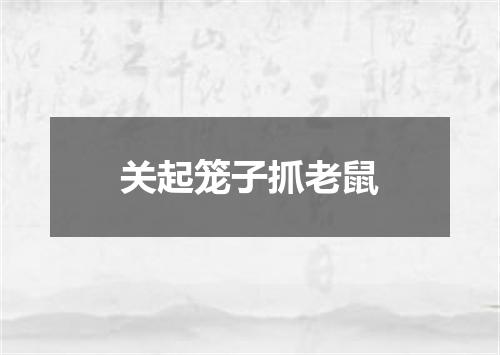 关起笼子抓老鼠