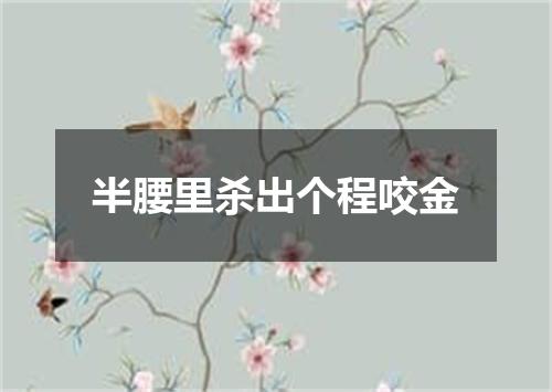 半腰里杀出个程咬金