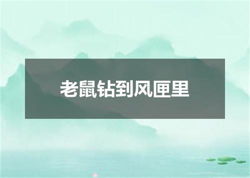 老鼠钻到风匣里