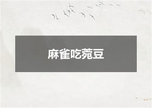 麻雀吃菀豆
