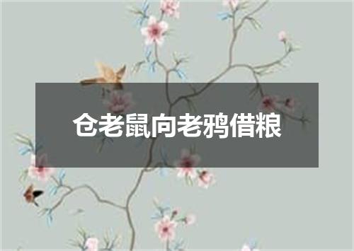 仓老鼠向老鸦借粮
