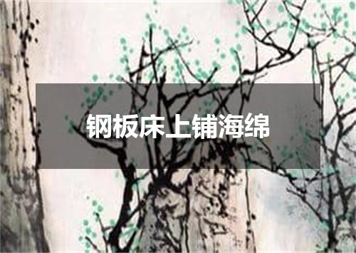 钢板床上铺海绵