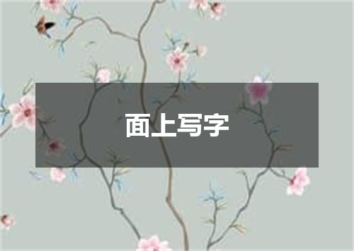 面上写字