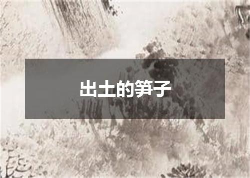 出土的笋子