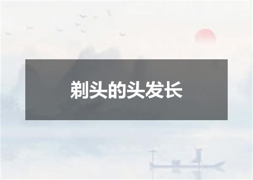 剃头的头发长
